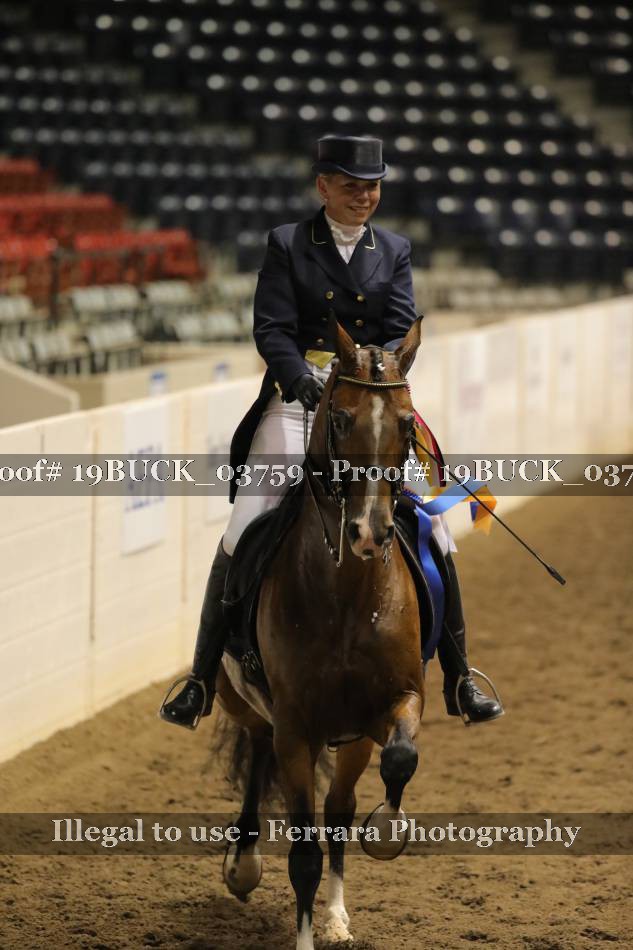 Proof 19BUCK_03759