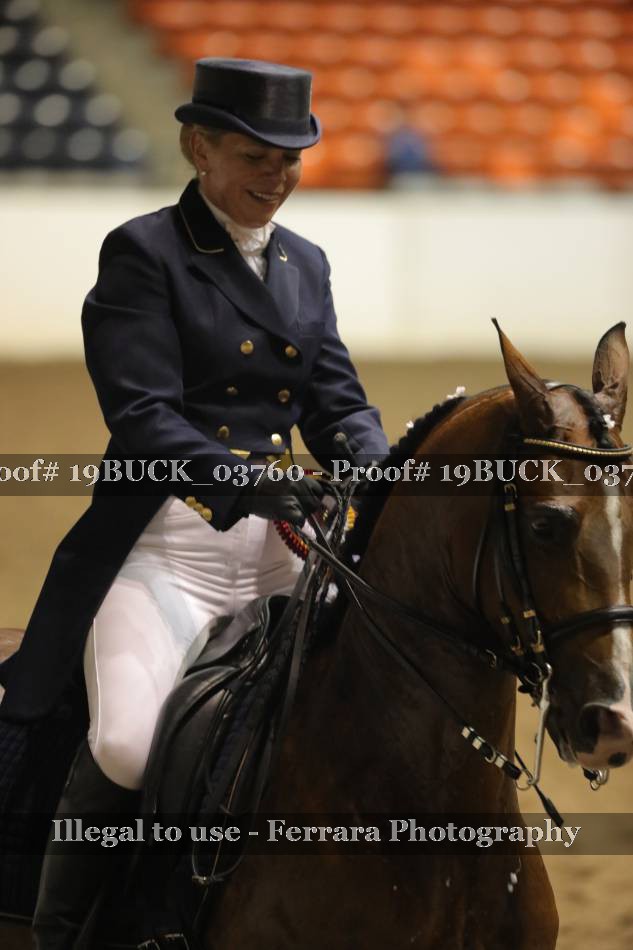 Proof 19BUCK_03760