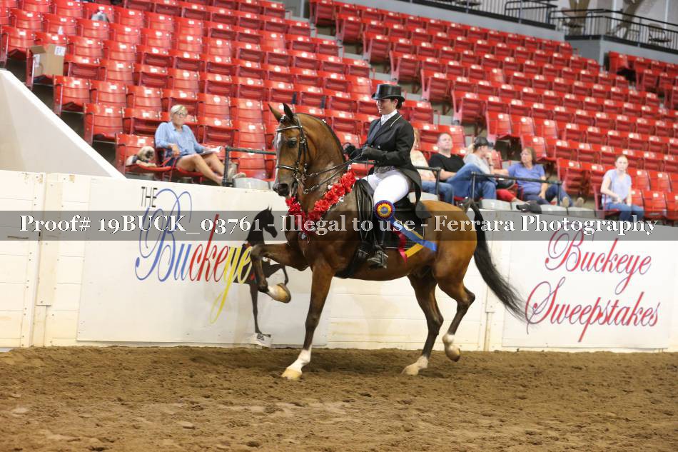 Proof 19BUCK_03761