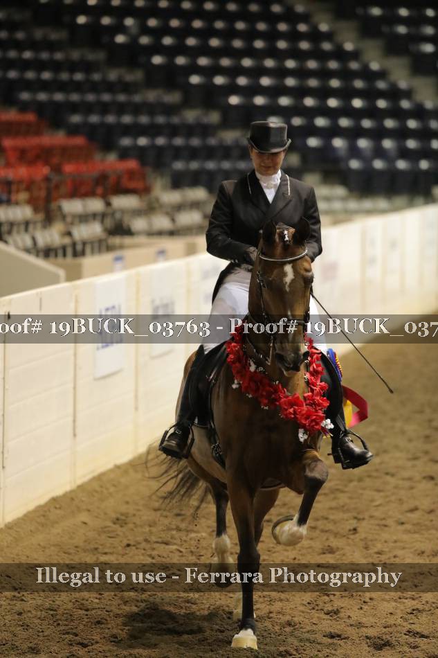 Proof 19BUCK_03763