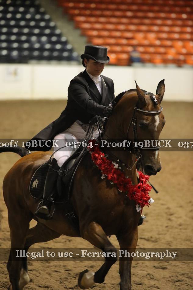 Proof 19BUCK_03764