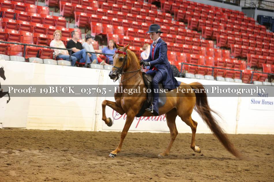 Proof 19BUCK_03765