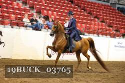 19BUCK_03765 proof