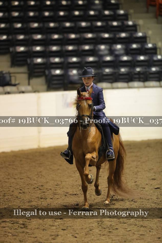 Proof 19BUCK_03766