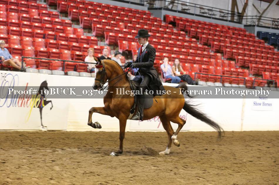 Proof 19BUCK_03767