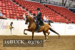 19BUCK_03767 proof