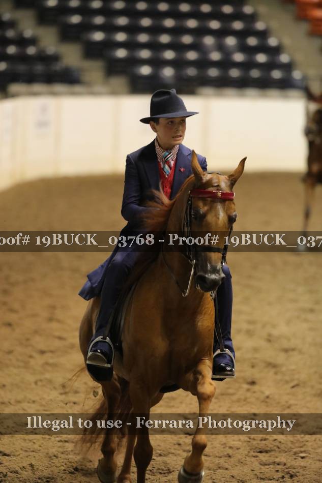 Proof 19BUCK_03768