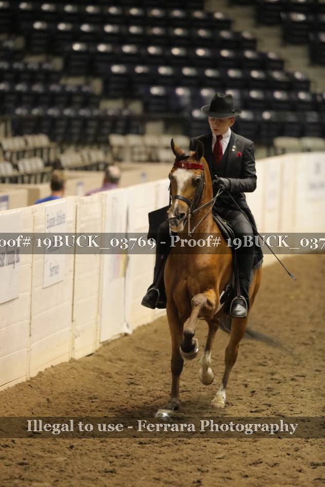 Proof 19BUCK_03769