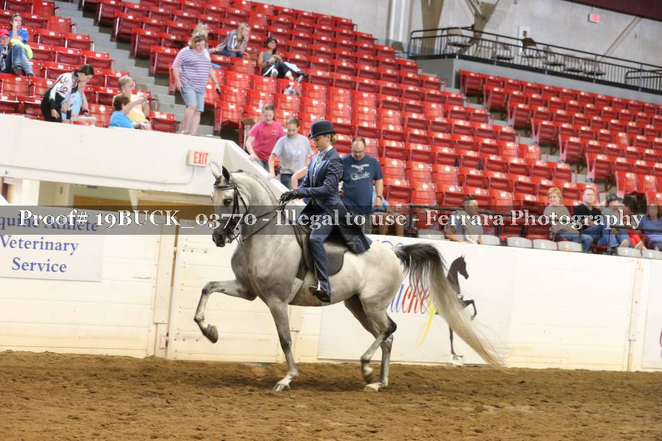 Proof 19BUCK_03770