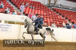 19BUCK_03770 proof