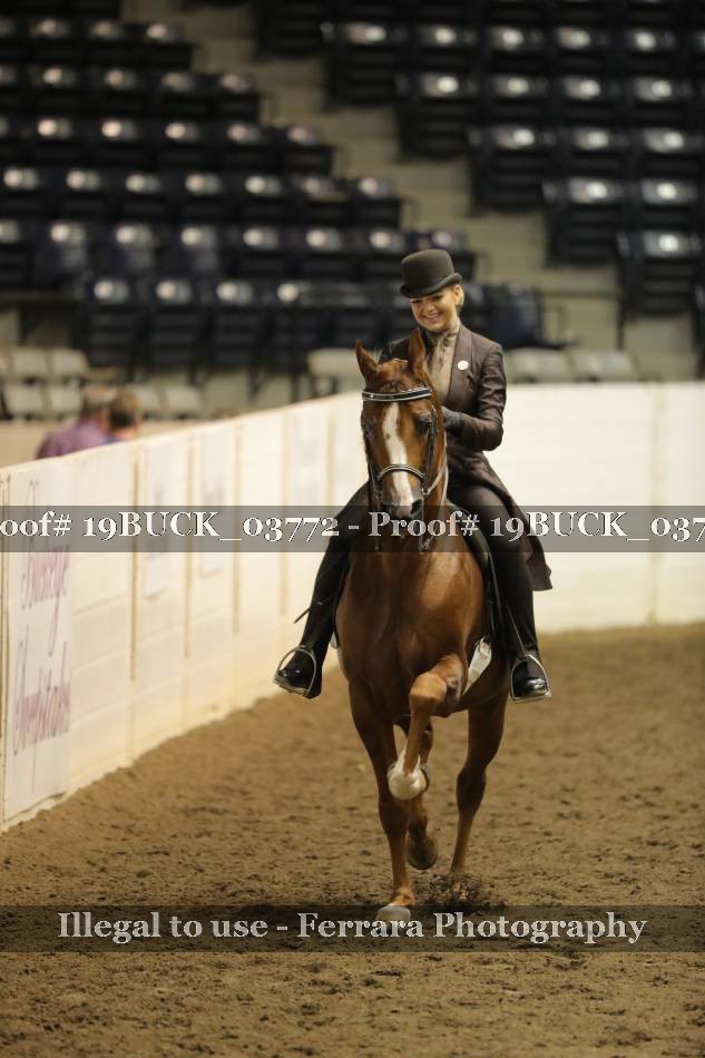 Proof 19BUCK_03772