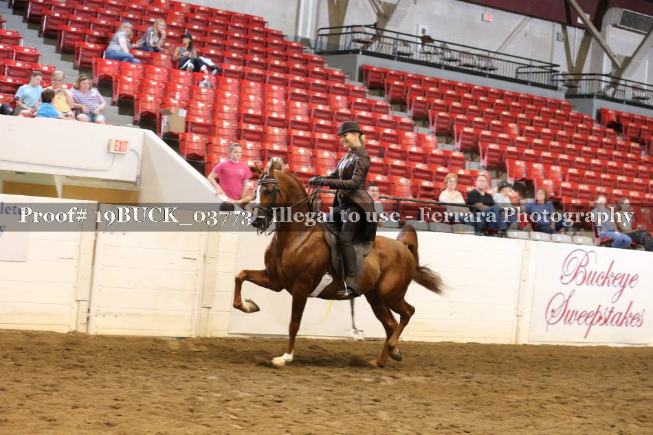 Proof 19BUCK_03773