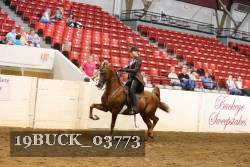 19BUCK_03773 proof