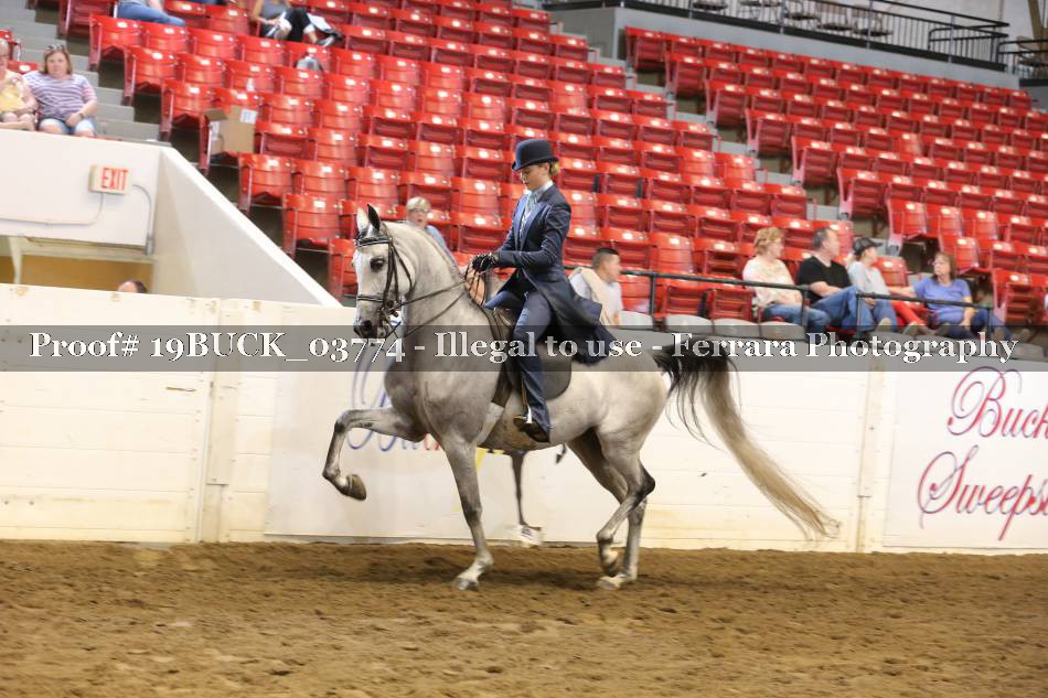 Proof 19BUCK_03774