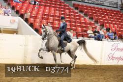 19BUCK_03774 proof