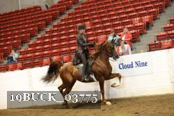 19BUCK_03775 proof