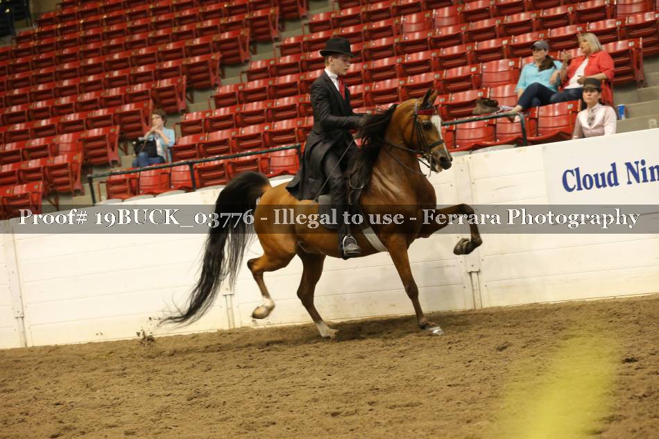 Proof 19BUCK_03776