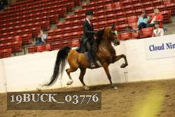 19BUCK_03776 proof