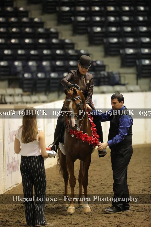 Proof 19BUCK_03777