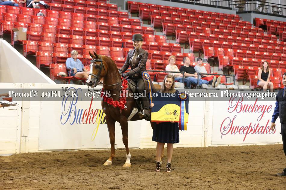 Proof 19BUCK_03778