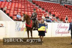 19BUCK_03778 proof