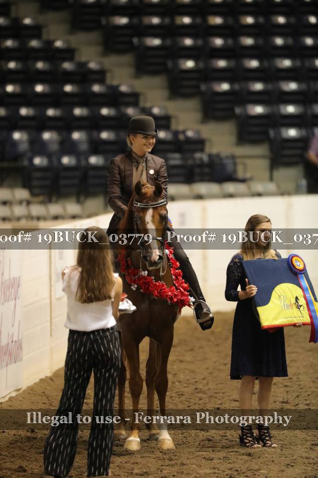 Proof 19BUCK_03779