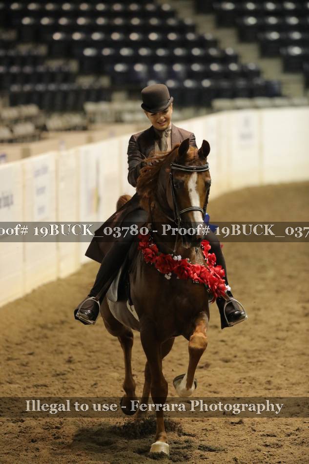 Proof 19BUCK_03780