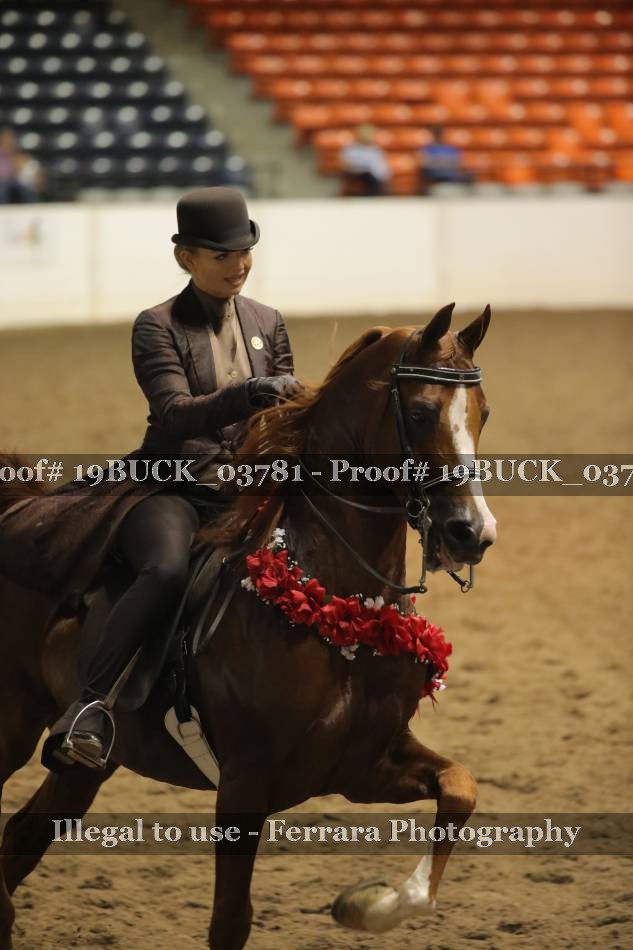 Proof 19BUCK_03781