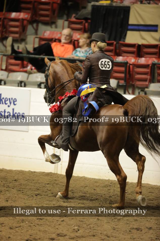 Proof 19BUCK_03782