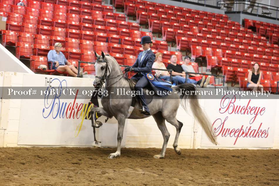 Proof 19BUCK_03783