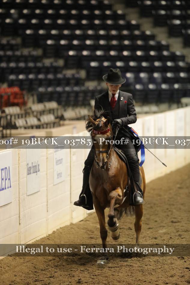 Proof 19BUCK_03785