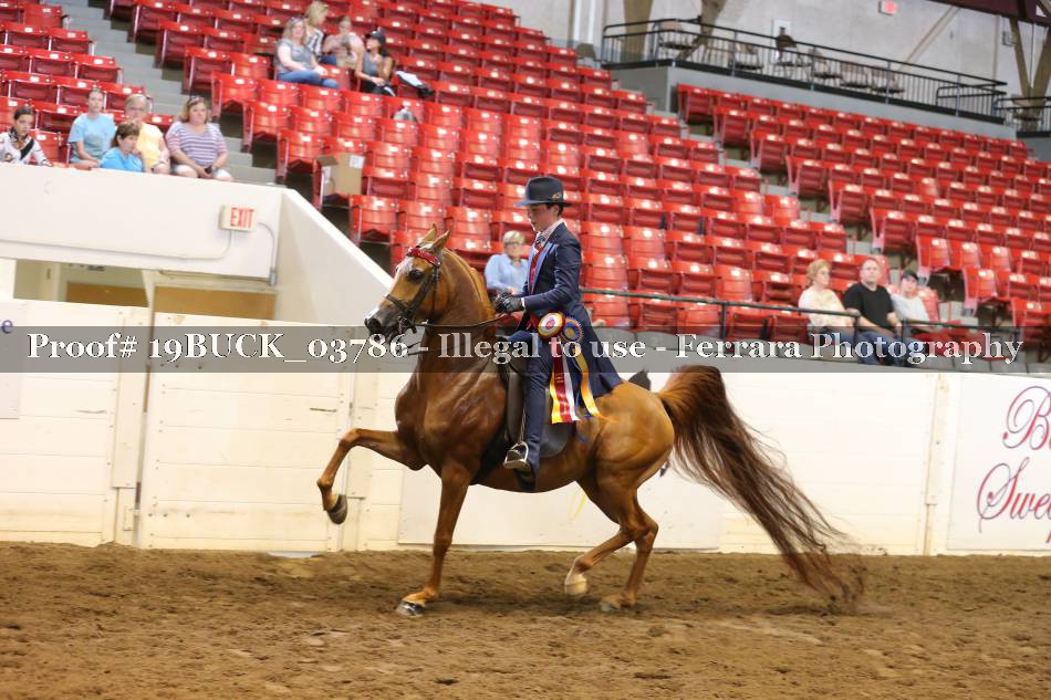 Proof 19BUCK_03786