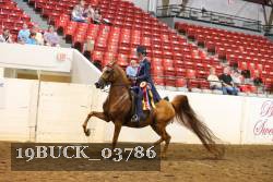 19BUCK_03786 proof