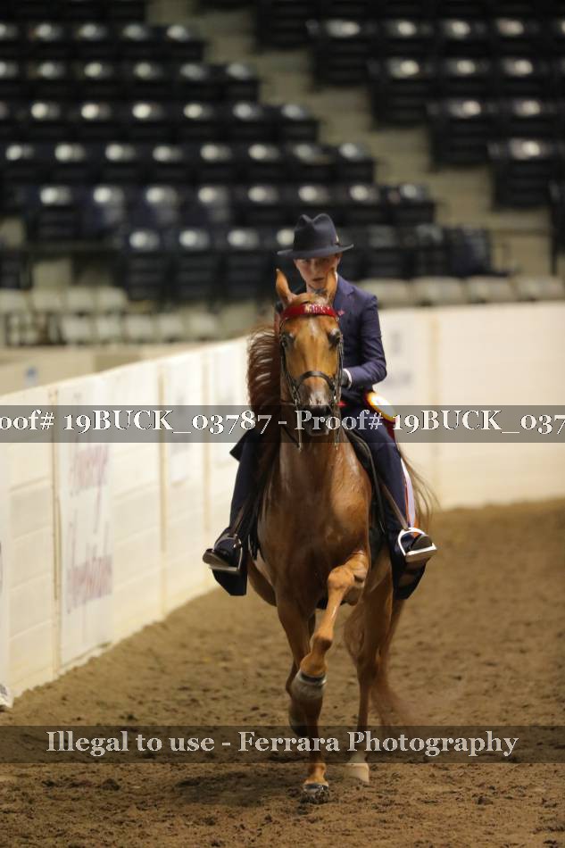 Proof 19BUCK_03787