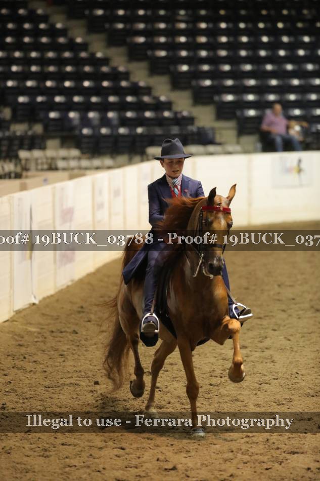Proof 19BUCK_03788