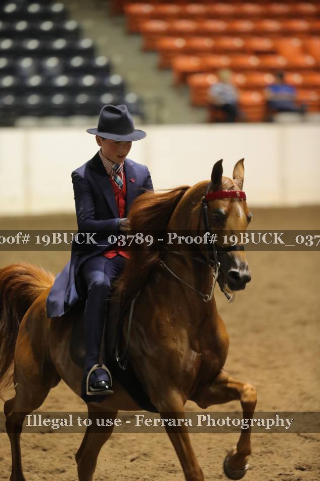 Proof 19BUCK_03789