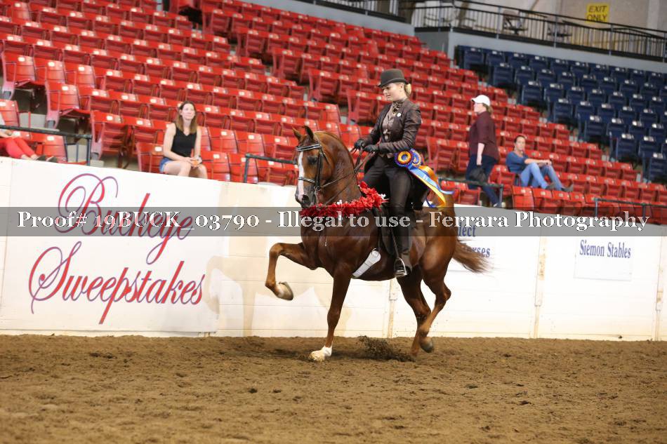 Proof 19BUCK_03790