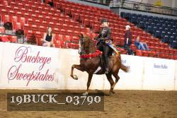 19BUCK_03790 proof