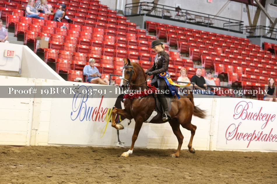Proof 19BUCK_03791