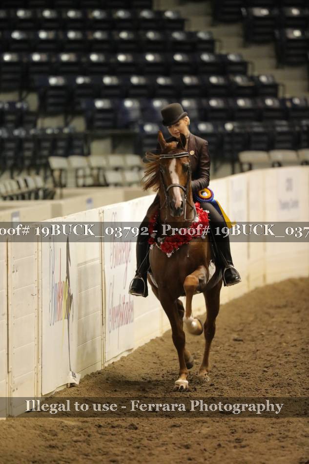 Proof 19BUCK_03792
