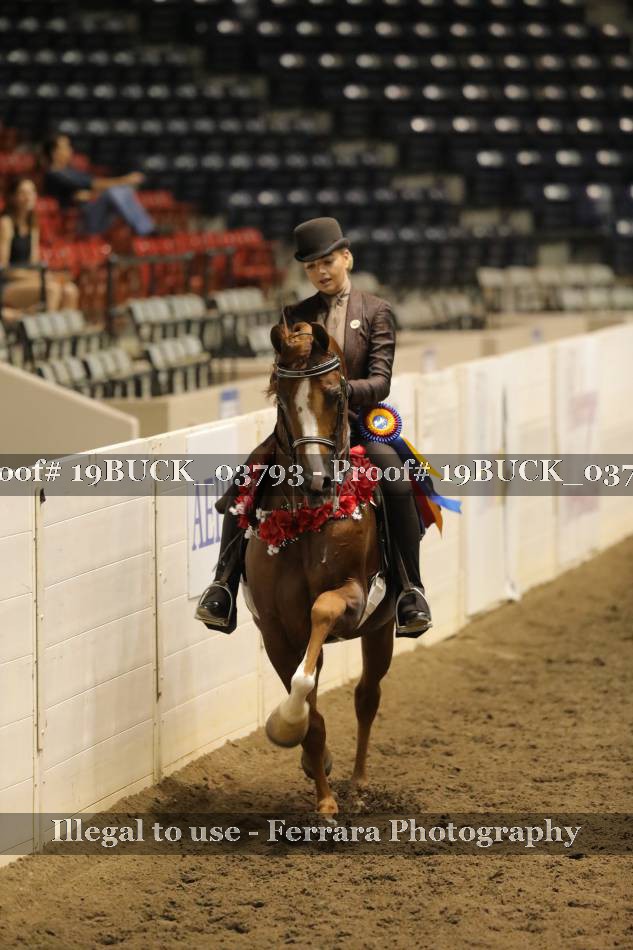 Proof 19BUCK_03793