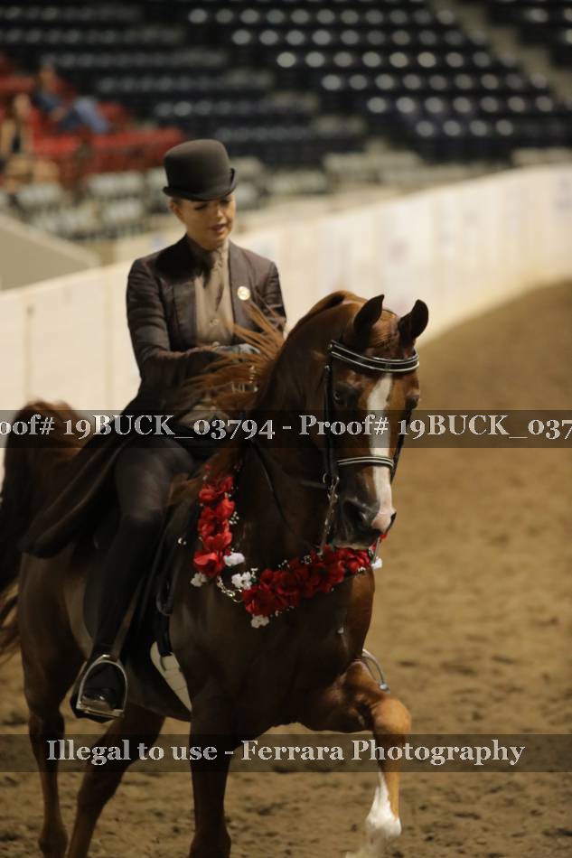Proof 19BUCK_03794