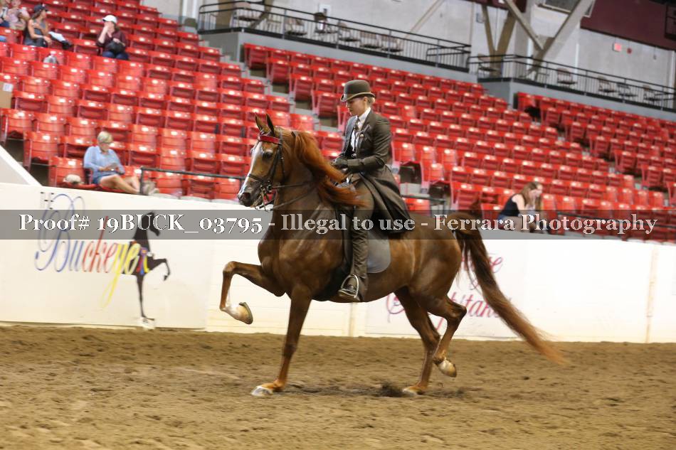 Proof 19BUCK_03795