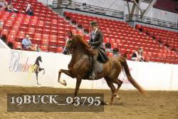19BUCK_03795 proof