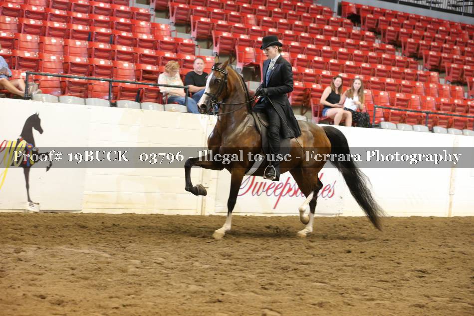 Proof 19BUCK_03796