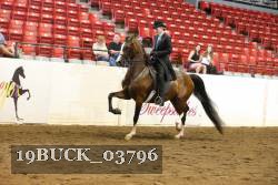 19BUCK_03796 proof