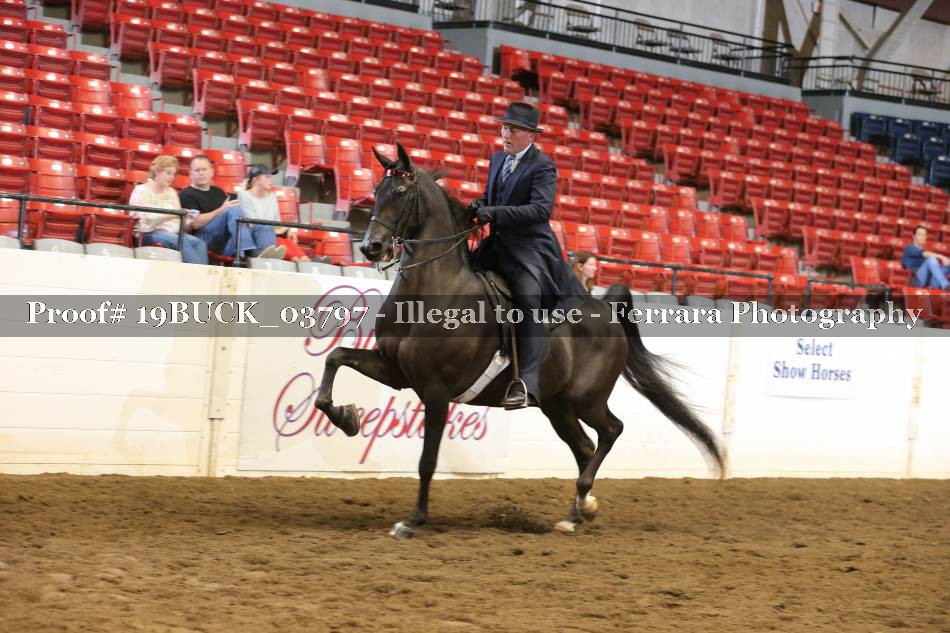 Proof 19BUCK_03797