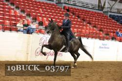 19BUCK_03797 proof