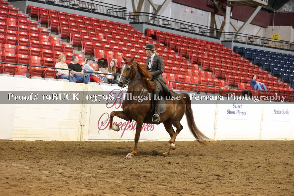 Proof 19BUCK_03798