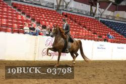 19BUCK_03798 proof